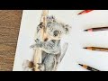  koala in coloured pencil  how to draw