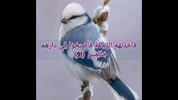 Al-Awar Suresi سورة الأعراف صفحة 162بصوت جميل وهادئ
