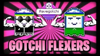 Aavegotchi Step-By-Step Guide