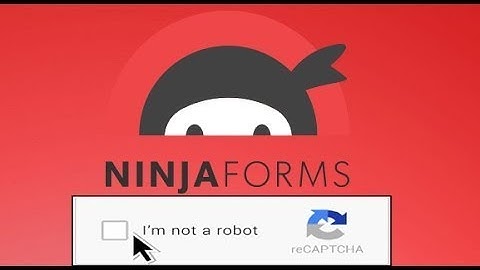 Are you useing ninja forms? Get Anti-spam using Google REcaptcha to STOP THE SPAMMER !