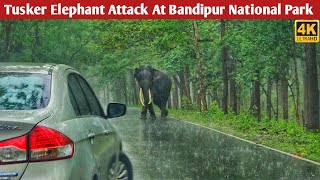 bandipur national park | elephant attack | bandipur forest | bandipur elephant attack | bandipur