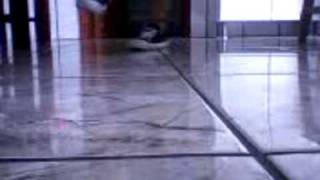 Master Rebolation