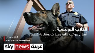 الكلاب البوليسية .. أبطال برواتب عالية وجنازات عسكرية ضخمة!