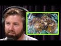 How One Treasure Hunter Got Screwed Out of a Fortune | Joe Rogan and Forrest Galante