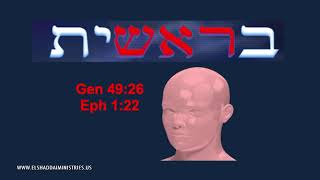 See how YESHUA (Jesus) is PROPHESIED in the very FIRST word of the Bible!