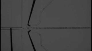 Lab on a chip (LOC): Electrostatically Addressable Droplet-based Microfluidics SMALL@SUNY-Buffalo