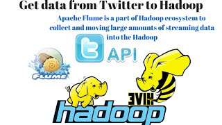 Apache Flume: How to Get Twitter data ? Dump twitter data to Hadoop