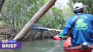MANGROVE ESCAPE IN PHANG NGA OFFERS SERENE RETREAT
