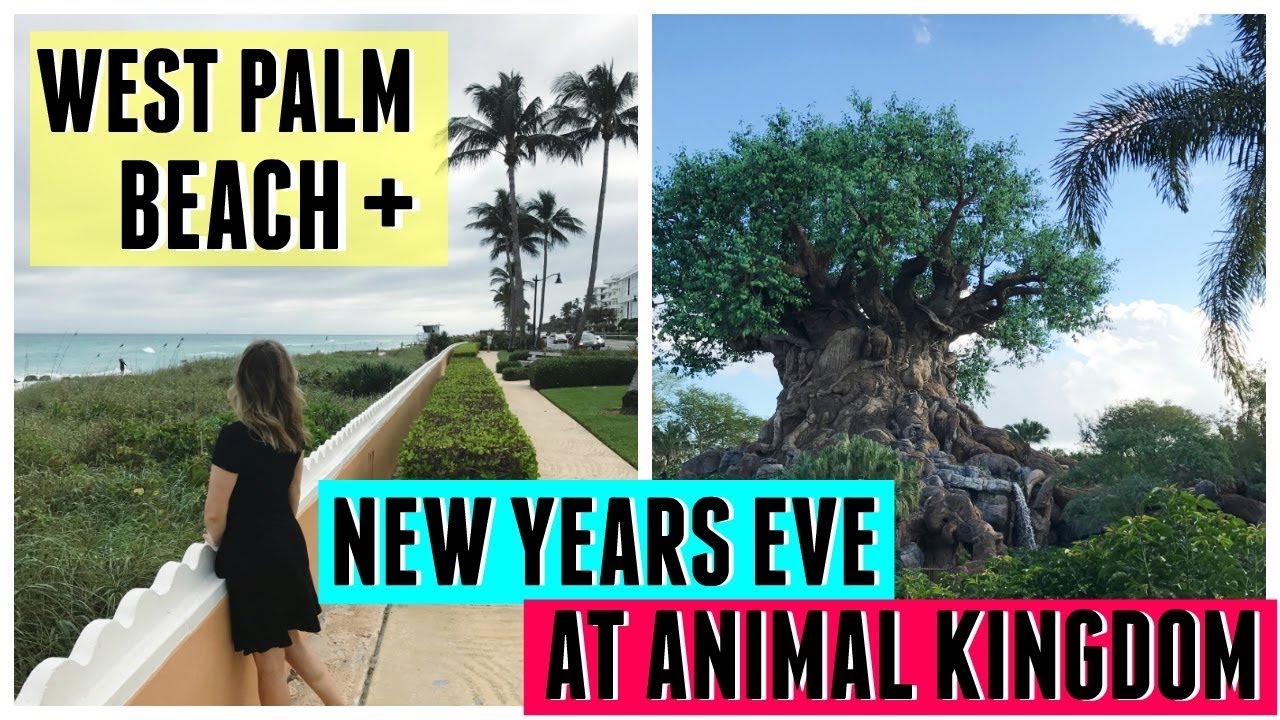 Visiting West Palm Beach + New Year's Eve at Disney's Animal Kingdom