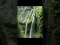 Classical Music for Reading - Mozart, Chopin, Debussy, Tchaikovsky channel Soft Tune YT#short