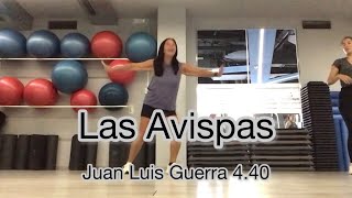 Las Avispas - Juan Luis Guerra / Zumba Choreography
