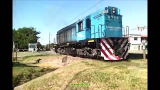 6768 TRENES ARGENTINOS CARGAS POR CAPITÁN BERMÚDEZ