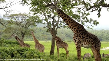 Differentiating via Data Science - Eric Colson (Stitch Fix)