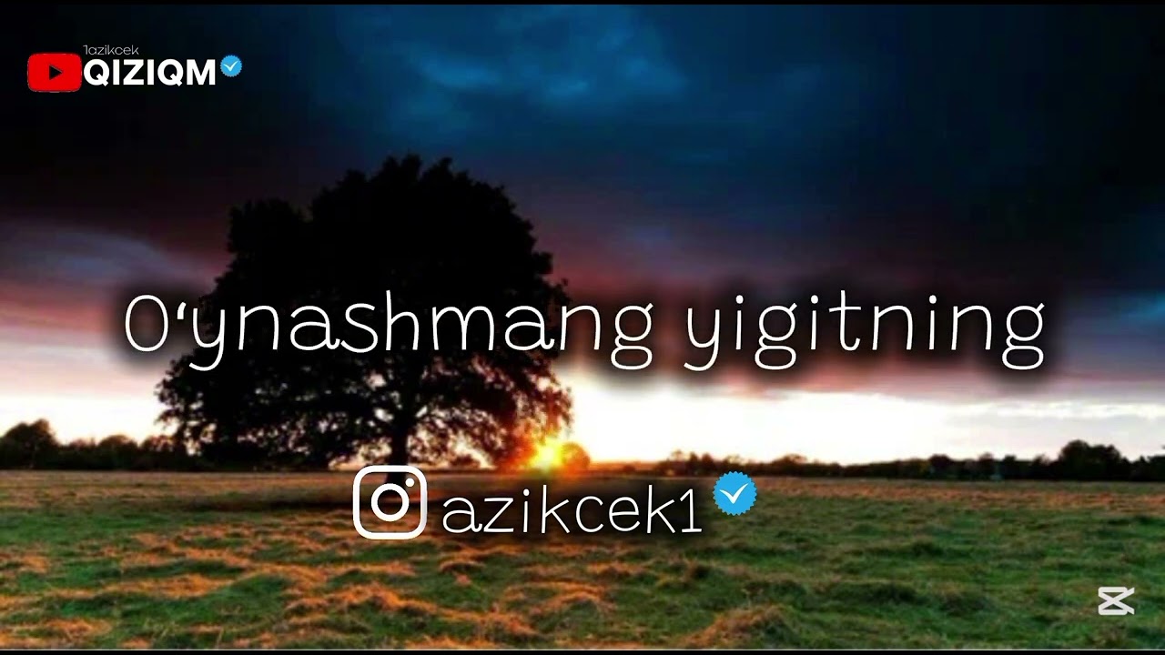 Men bir yigitni sorayapman Men bir yigitni sorayapman