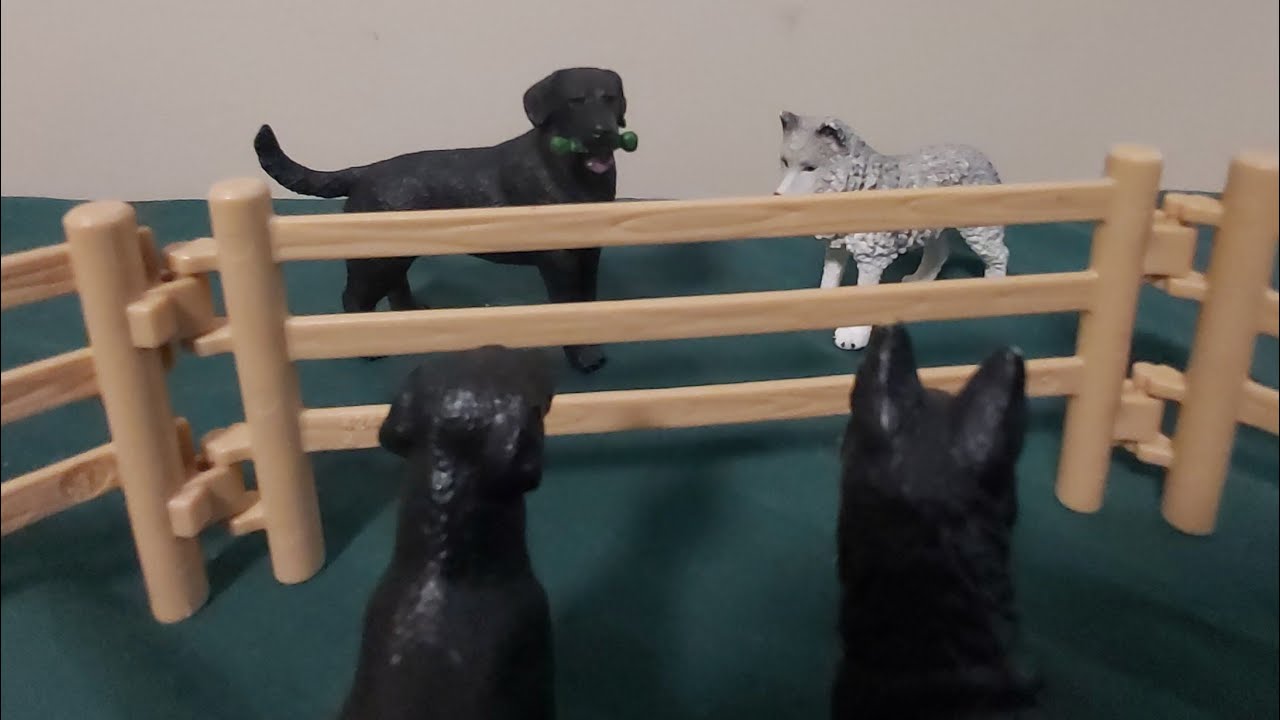 What's Behind The Fence ( schleich wolf /dog movie) 