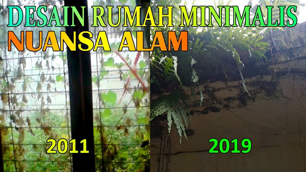 Desain Rumah Minimalis Nuansa Alam Rumah Tarzan YouTube Desain Rumah Minimalis Nuansa Alam Rumah Tarzan YouTube