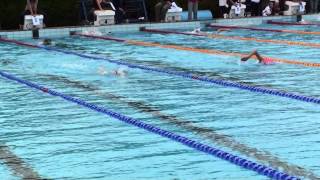 20140621 Strakonicky FEZ 400VZ PS