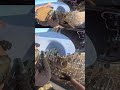 Video shows moment Artemis II crew welcomed home