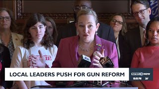 Local leaders call for 'common sense' gun reform at the Wisconsin State Capitol