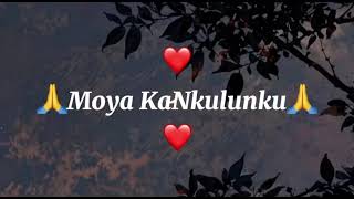 Moyongcwele By Nontokozo Mkhizegospel sayoutube fyp sama28 sa jesus s tranding