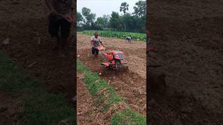 🔥 Power Weeder की ताकत देखकर दंग रह जाएंगे🚜🌾#modernfarming #ytshorts #farmlife #dhan #desikheti