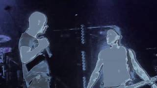 Daughtry - "Backbone" Live