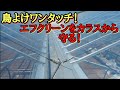 屋根型ハウス　温室ハウス　ビニールハウス　パイプハウス【鳥よけワンタッチ！】施工例２
