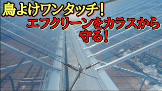 屋根型ハウス　温室ハウス　ビニールハウス　パイプハウス【鳥よけワンタッチ！】施工例２