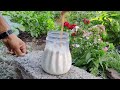The Unbelievable Pest Control Trick That Changed My Garden Forever