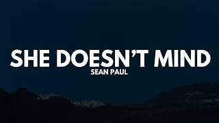 Download lagu Sean Paul - She Doesn't Mind (Lyrics)