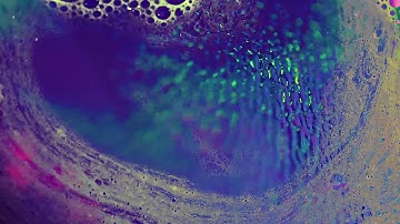 Theta - Cusp [Official Video]