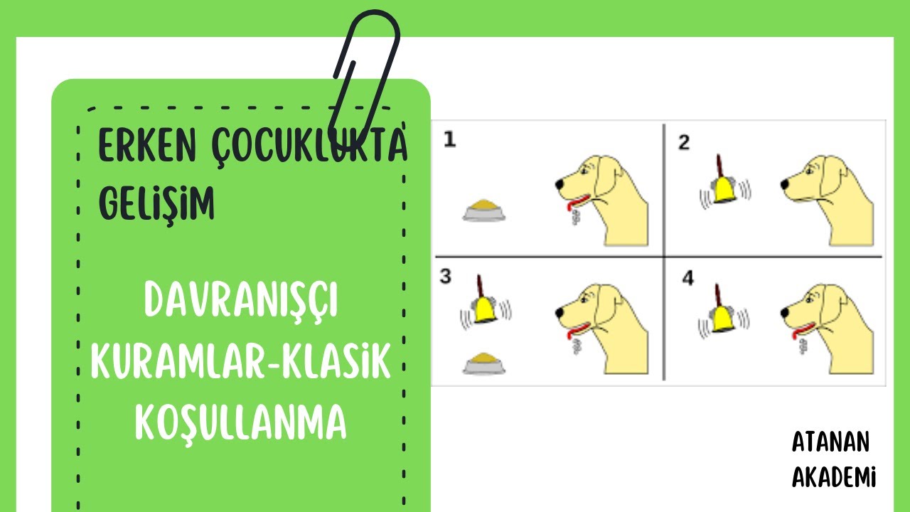 26) Davranışçı Kuramlar - Klasik Koşullanma Pavlov