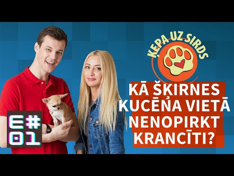 E01 Kā šķirnes kucēna vietā nenopirkt dārgu krancīti? [audio]