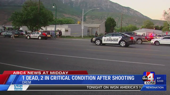 18-year-old, younger brother in custody after dead...