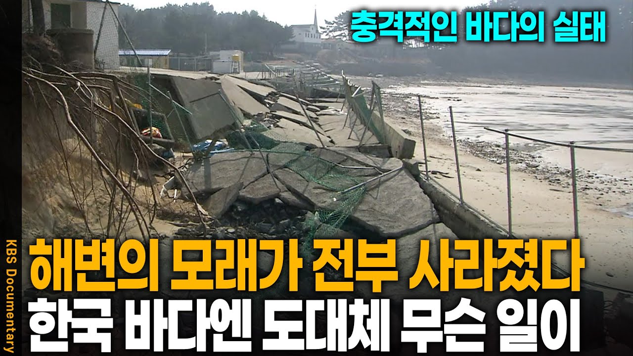 복구비가 무려 80억, 대한민국 바다엔 도대체 무슨 일이 | KBS 20100414 방송