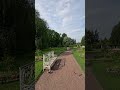 Walking in Catherine Park Private Garden x Birds Sound ASMR #travel #petersburg #nature