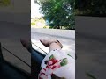 علاقة التمسخير