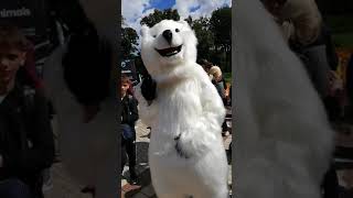 Белый медведь на митинге зоозащитников!!!