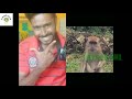 Animals funny tamil part 3100 laughing confirmtrend zone tamil