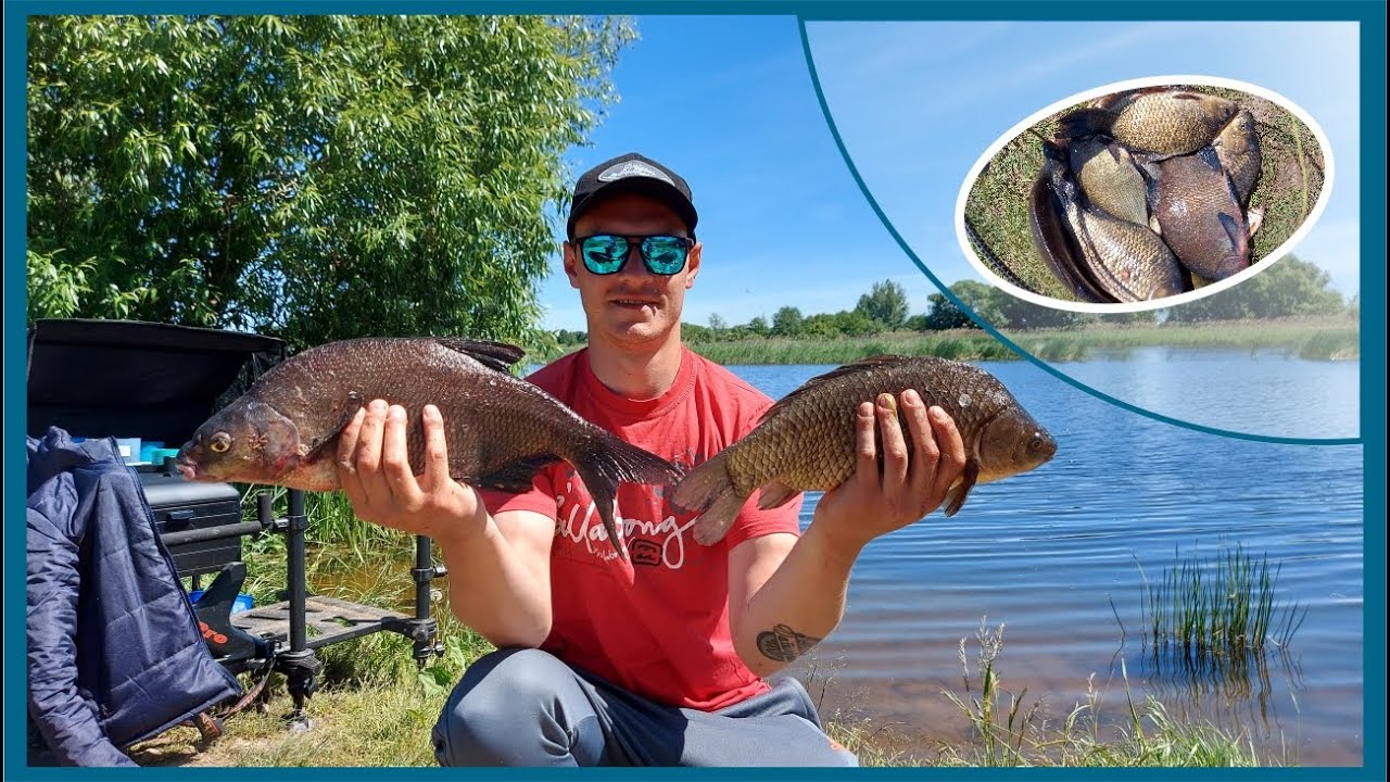 Karosų ir Karšių žvejyba feederiu Mūšos užtvankoje (Dvariukai) || NEI ŽVYNO