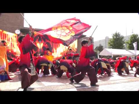 「 kagura 」おんさいEXPO 2016【富加会場】