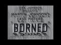 British north borneo 1937 documentary film by martin johnson 53894