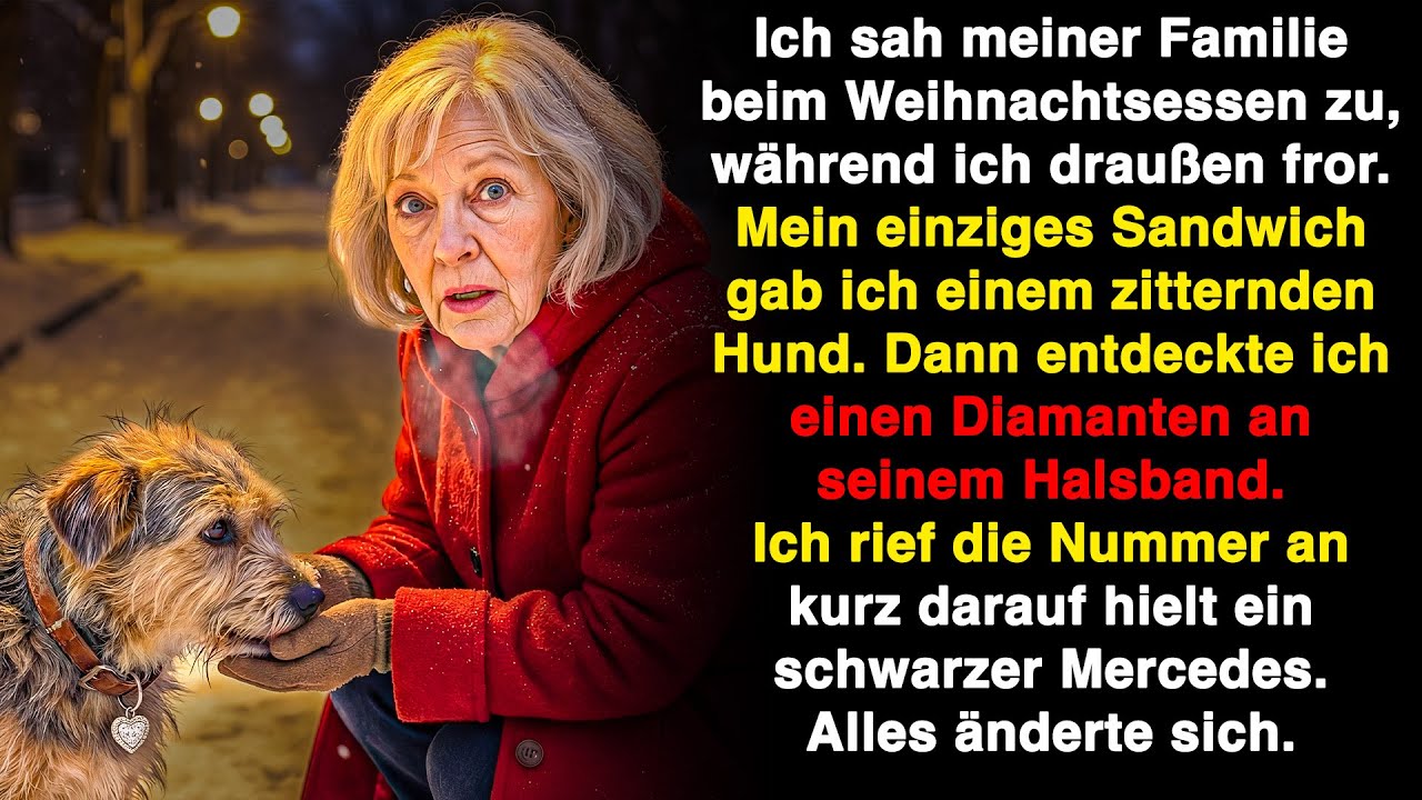 Meine Familie aß drinnen, ich saß draußen und fütterte einen Streuner. Sein Halsband hatte…