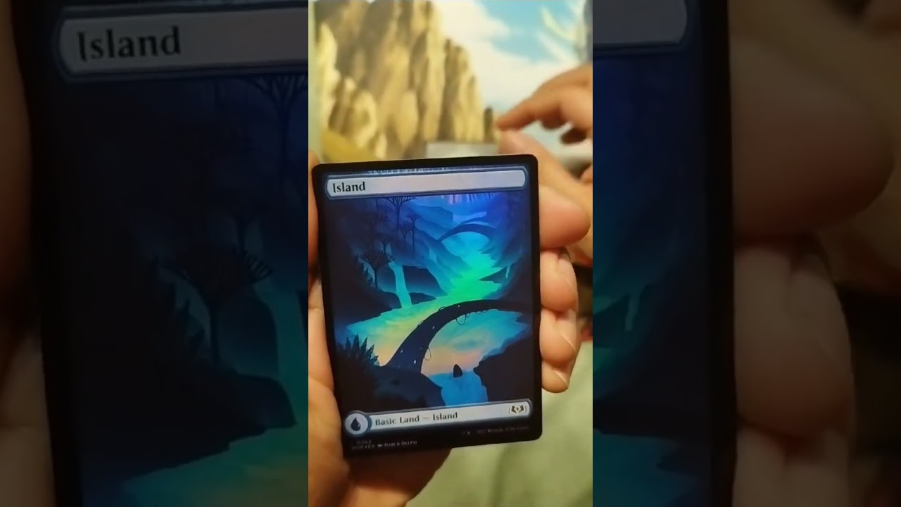 Collector | Wilds of Eldraine | Magic the Gathering 