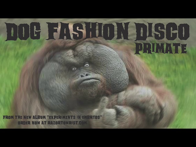 Dog Fashion Disco - Primate