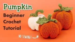 How to Crochet a Pumpkin || Easy Beginner Crocheting Tutorial  NO SEWING!