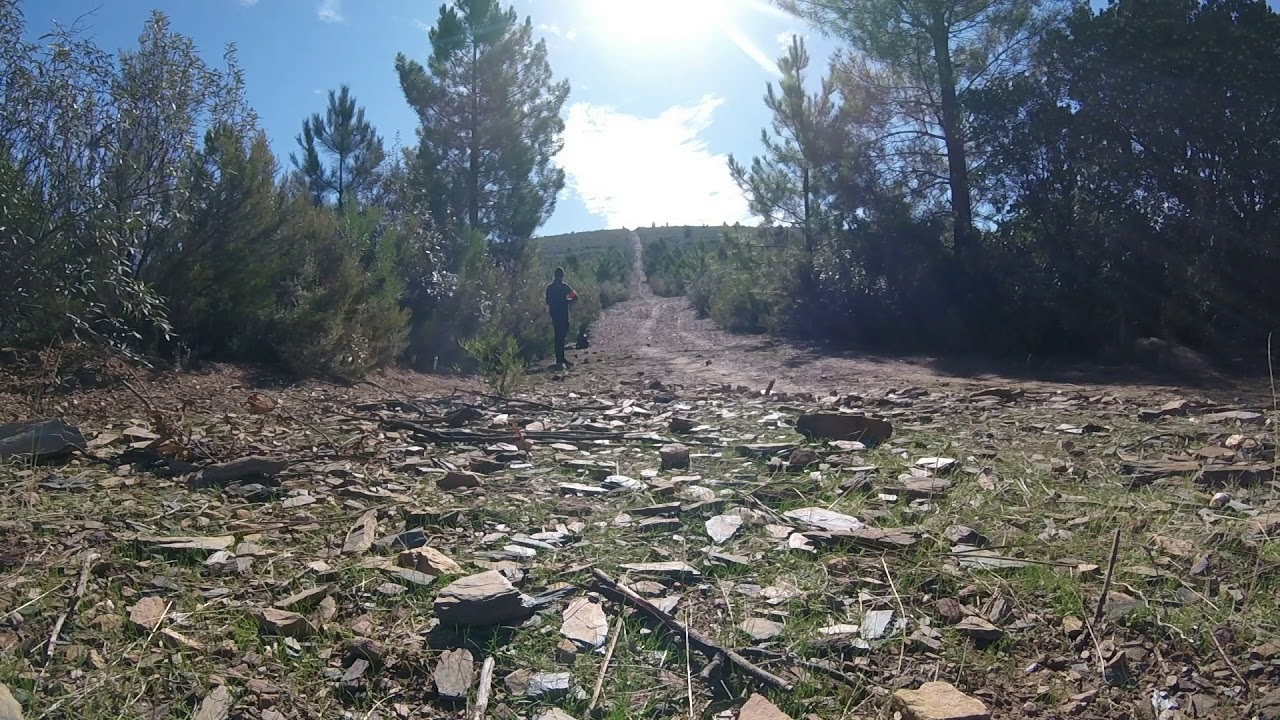 Lance en una traviesa . Rifle calibre 9,3x62