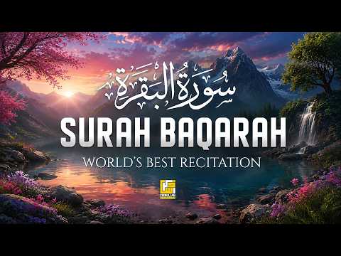 Surah Al-Baqarah (سورة البقرة) | Ultimate Most Heart Touching Quran Recitation | Zikrullah Reciters