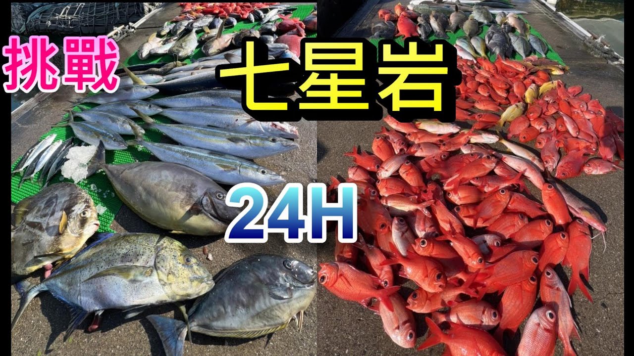 首次挑戰七星岩24小時，魚多到要挑魚種釣不然怕冰箱放不下，高級魚種釣不完