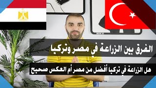 الفرق بين عملية زراعة الشعر في مصر و عملية زراعة الشعر في تركيا